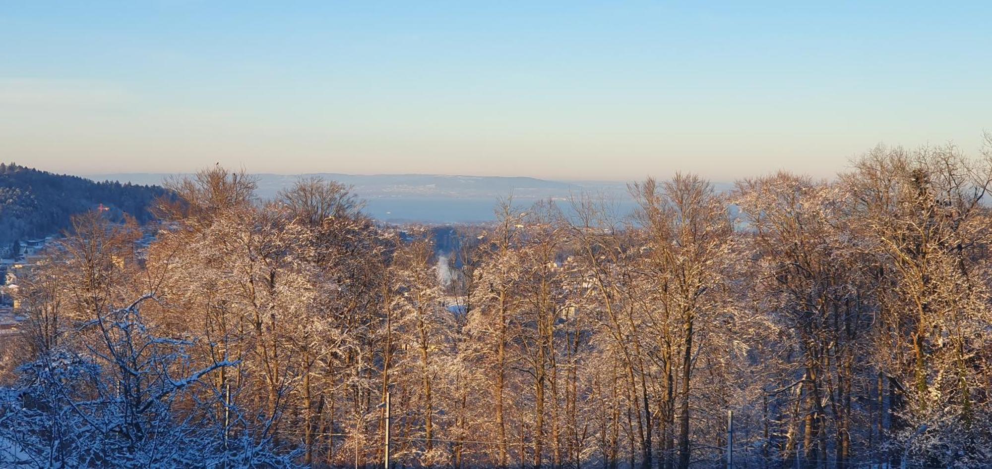 2-4 Zimmer Apartments Stilvoll Im Gertrud Schloessli - Zentral Ruhig Санкт-Галлен Экстерьер фото