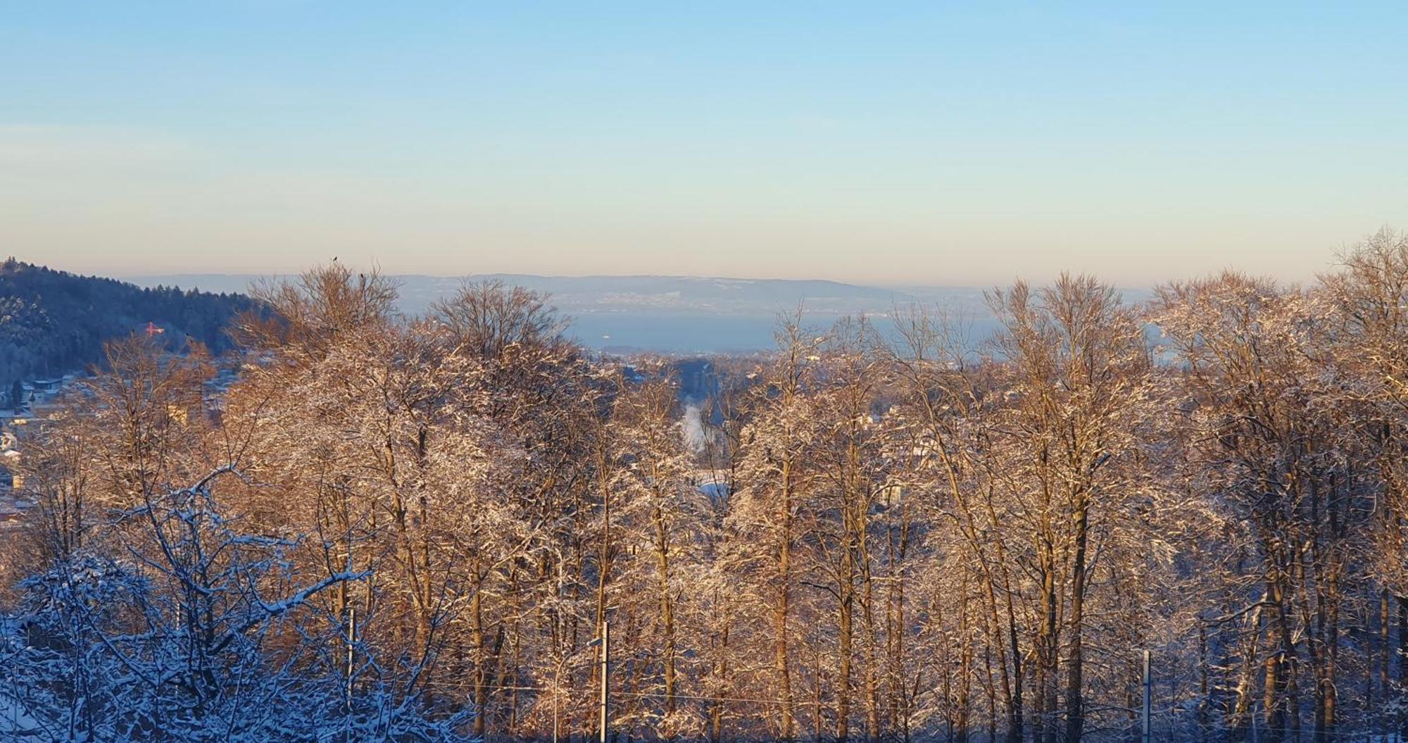 2-4 Zimmer Apartments Stilvoll Im Gertrud Schloessli - Zentral Ruhig Санкт-Галлен Экстерьер фото