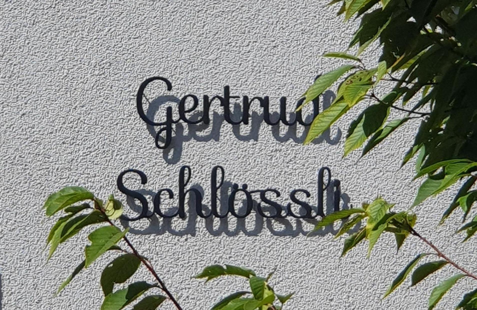 2-4 Zimmer Apartments Stilvoll Im Gertrud Schloessli - Zentral Ruhig Санкт-Галлен Экстерьер фото